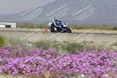 media/Feb-04-2023-SoCal Trackdays (Sat) [[8a776bf2c3]]/Turn 15 Inside Blooming (1050am)/